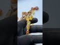 Natural Baltic Amber 33g Islamic Prayer Rosary 11 mm 33 Beads Tasbih Misbaha