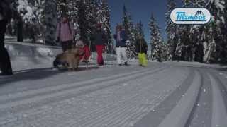 Kinderland im Familienskigebiet Stubaier Gletscher