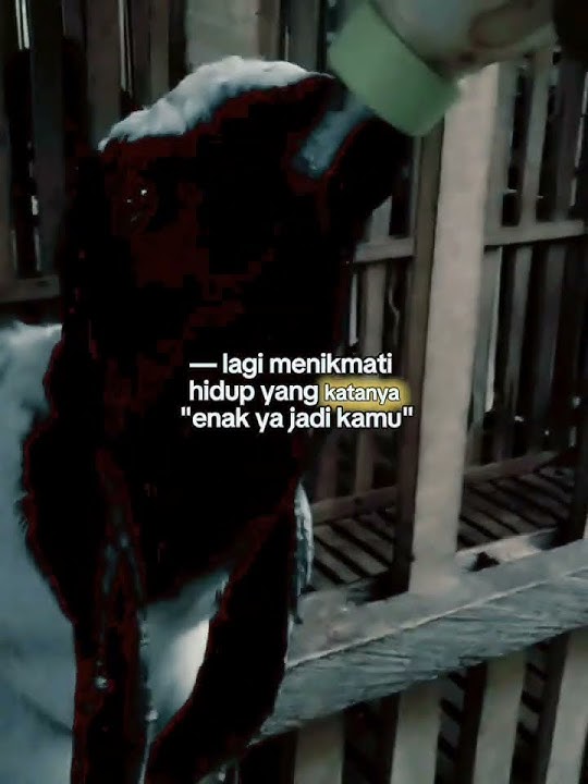 jajallo 2 dino dadi aku bos ko lek penak pol,,,,,, #peternakmuda #setory #vypシ