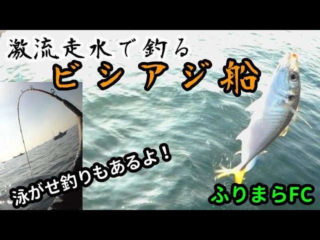 ビシアジ】相模湾でビシアジ釣り【海成丸】 