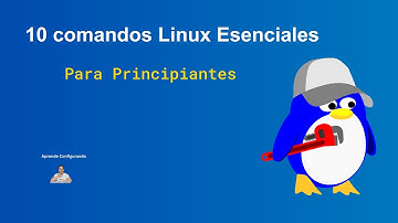 🚀 Aprende Linux Rápido: 10 Comandos Básicos que Todo Principiante Debe Saber 🔧
