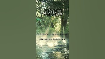 سوره ال عمران الايه ١٩٣