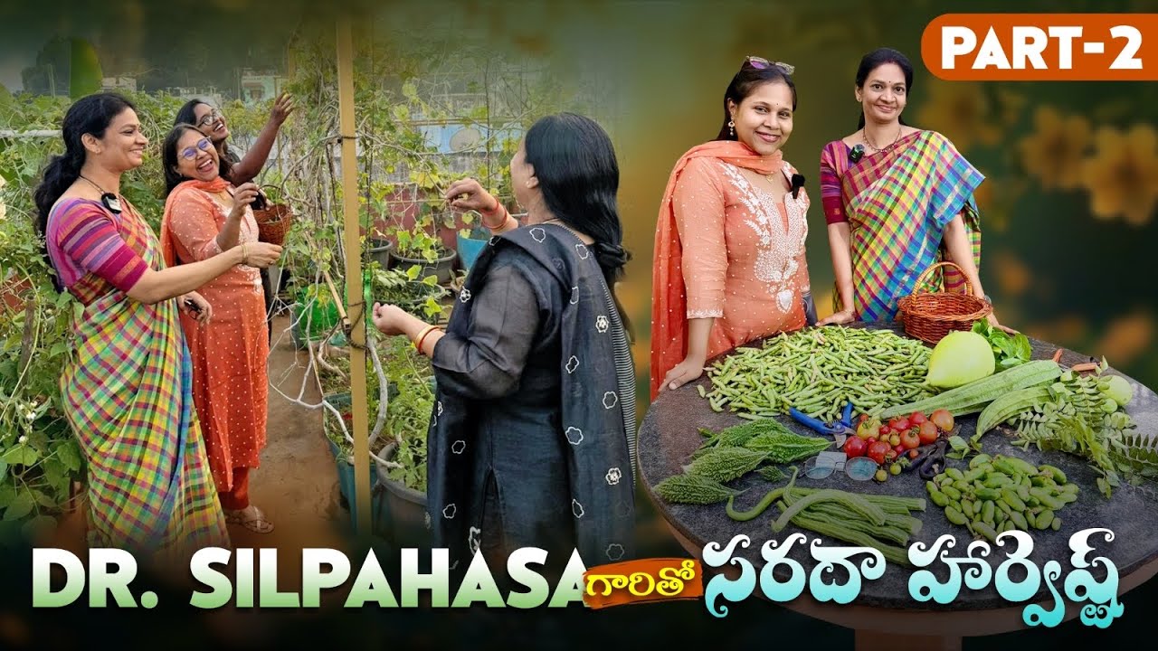 Drశిల్పహాస గారు మనుషులకు చేస్తే , మనం మొక్కలకు చేస్తాం @ఎం