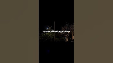 تلاوة خاشعة للشيخ محمد ايوب سورة طه #القرآن_الكريم