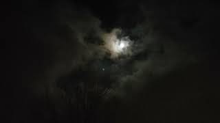A Wind storm in Dec 2021, Location: Dunlap IL, USA