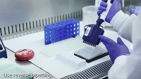 Olink Proteomics Lab Instruction