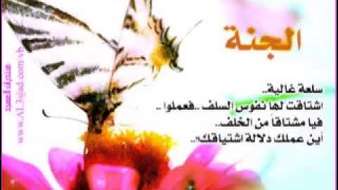 ‫تلاوة لا توصف للشيخ أحمد العجمي سورة النور sheikh ahmed al ajmi surah nour‬‎
