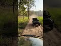 Dudhwa National park#viral #trending #nature #wildlife #youtubeshorts #youtubevideo #vlog