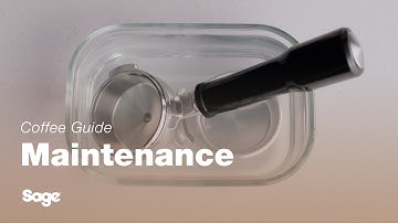 The Dual Boiler™ | Cleaning the portafilter and filter basket: our 3-step guide | Sage Appliances UK