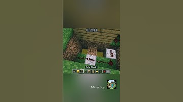 Mine craft tricks part-25 | door bell 🛎️ | #minecraft #tricks #gaming #Miner boy