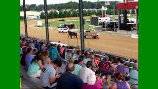 Elkhart 4 H Fair 2017