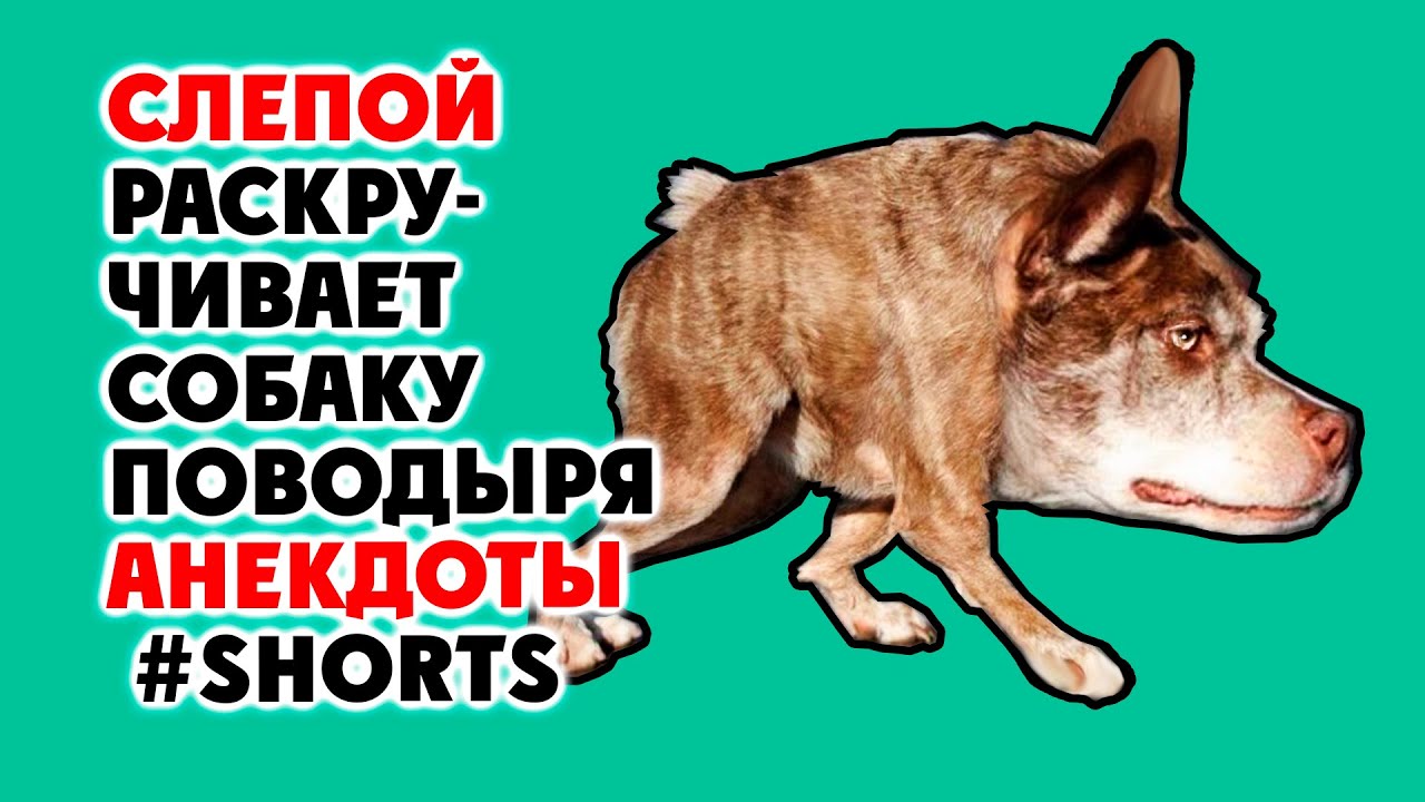 шутки слепых.