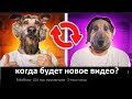 Когда новое видео? (Сейчас)