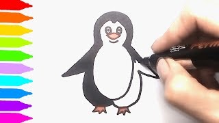 Penguin Drawing and Coloring