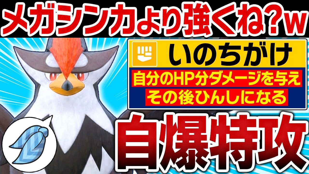 ムクホーク「メガシンカすると思った?w」←「いのちがけ」で自爆するスカーフ型が予想外に強くてヤバい【ポケモンチャンピオンズ】
