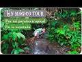 Un mágico tour por mi paraíso tropical en la montaña || De Nova con Amor