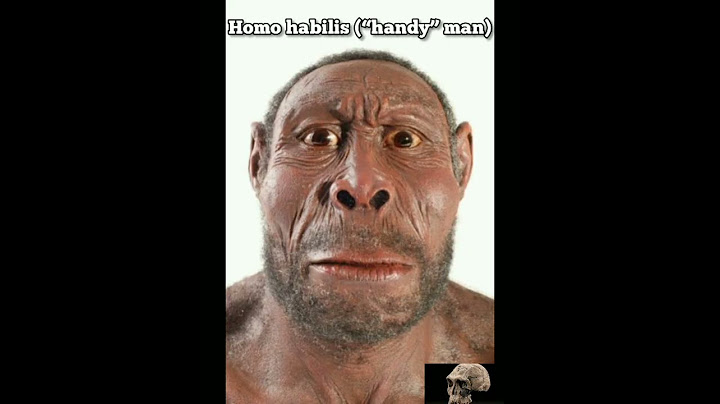Different species of Human till now  #shorts
