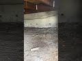 Deck foundation