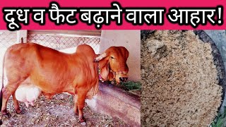 दूध वे फैट बढ़ाने का देसी तरीका संतुलित पशु आहार|घर पर पशु आहार बनाने की विधि|Dairy Farming india