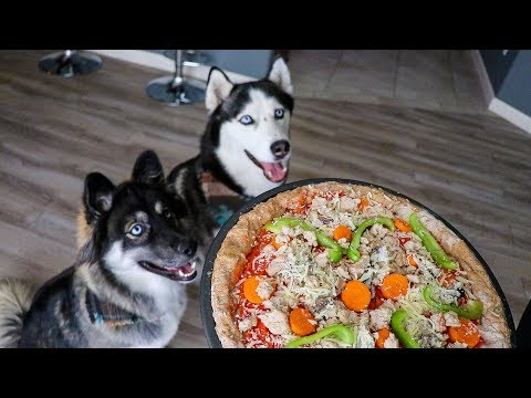 Video: Valp Pizza DIY Hälsosam Tilltugg!