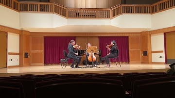 Max Reger: String Trio No. 1, Op. 77b - 1st movement, The Ponderosa Trio