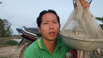 Cắm Câu Cá Lóc Mùa Gió Bấc Gần Vùng Biên Giới Đụng Cá Lóc Khủng