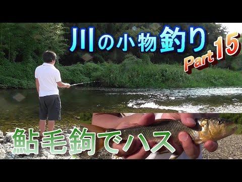 釣り 鮎毛鉤でハス 川の小物釣り15 アユ釣りのつもりがハス釣りになってしまった 琵琶湖 淡水魚 Fishing Youtube