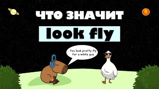 ЧТО ЗНАЧИТ 'LOOK FLY' В АНГЛИЙСКОМ//ENGLISH SLANG 😺