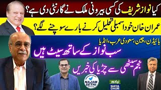 Is National Govt Coming? | When Will Fresh Elections Come? | Naya Daur | Najam Sethi Official