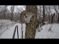 ⁴ᴷ Walking Central Park, NYC in the Snow from Grand Army Plaza to Belvedere Castle -  OLD