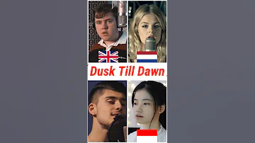 Who sang it better: Dusk Till Dawn ( uk, netherlands, indonesia, australia ) Zayn ft. Sia #shorts