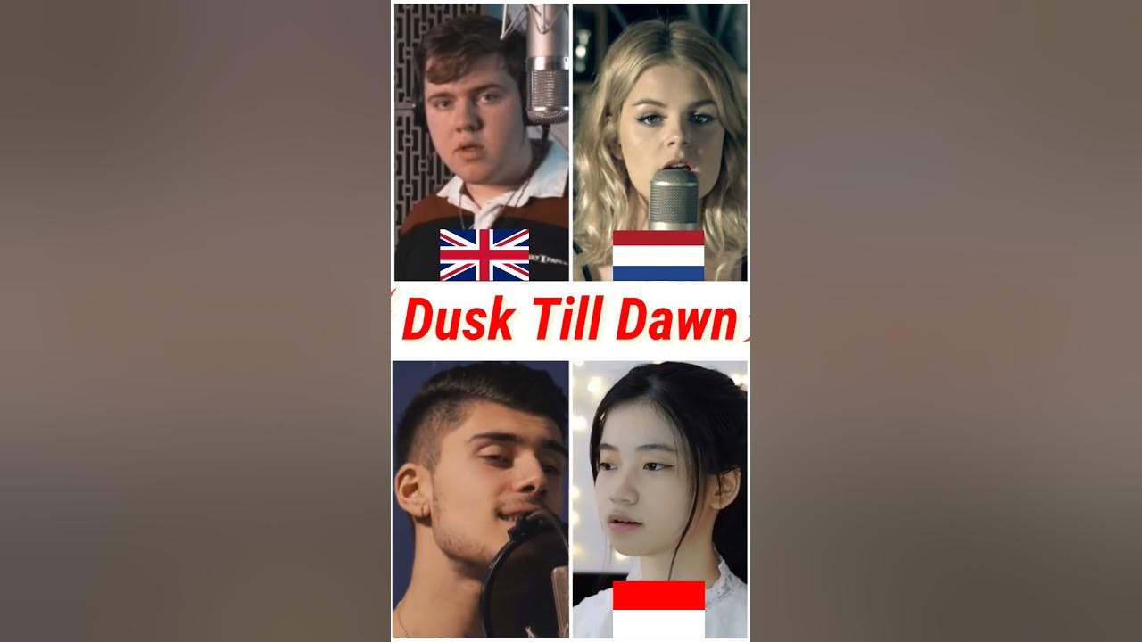 Who sang it better: Dusk Till Dawn ( uk, netherlands, indonesia, australia ) Zayn ft. Sia #shorts
