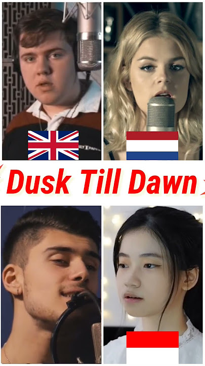 Who sang it better: Dusk Till Dawn ( uk, netherlands, indonesia, australia ) Zayn ft. Sia #shorts