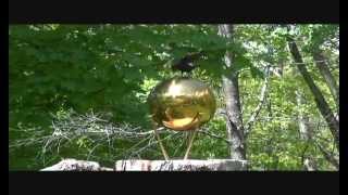 Crazy Cow Bird vs Garden Ball