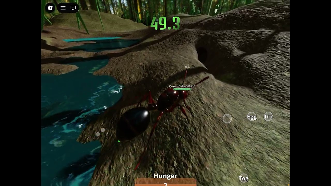  Playing ant ￼life part 3!