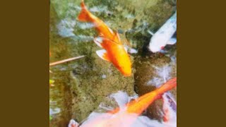 Download Mp3 Arume Kembang Gudang lagu Download Mp3 Arume Kembang
