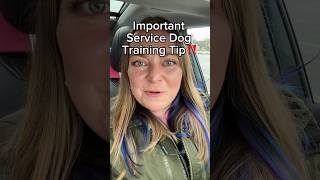 ‼ Critical Service Dog Task Training Tip! 🐕‍🦺