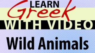 ⁣Learn Greek with Video - Wild Animals