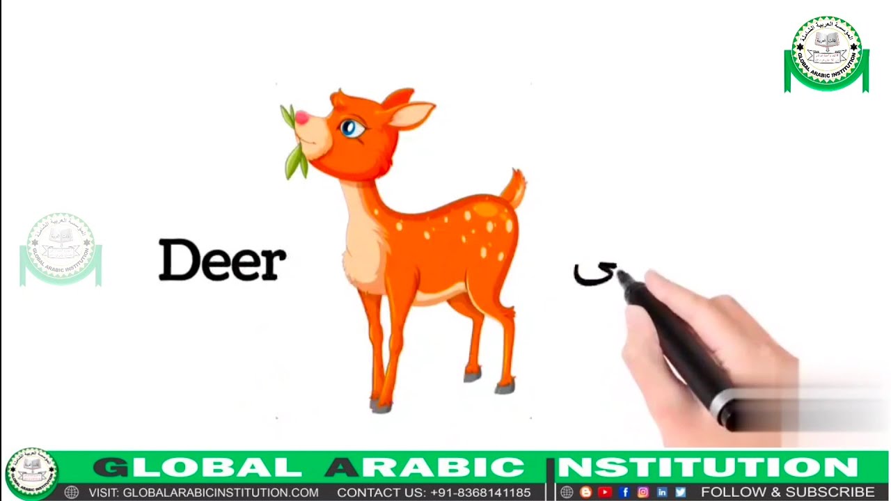 Animal Names In English Animal Names In Arabic Arabic For Beginners animal-names-in-english-animal-names-in-arabic-arabic-for-beginners