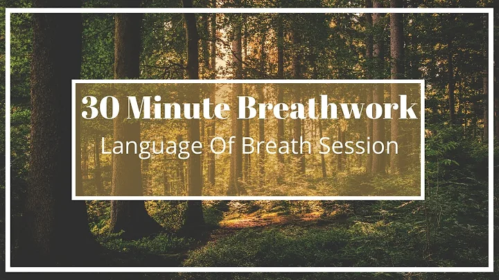 Guided Breathwork | 30 Minute Session