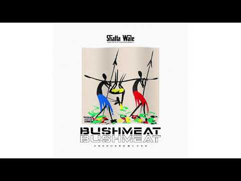 Watch Shatta Wale - Bushmeat (Audio Slide) on YouTube Watch Shatta Wale - Bushmeat (Audio Slide) on YouTube