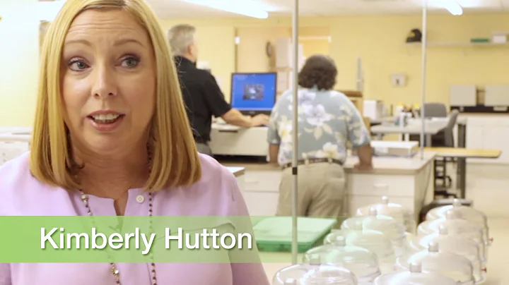 Data Balance Review  Kimberly Hutton 01