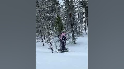 Snowmobile Gets Stuck in Tree After Crash