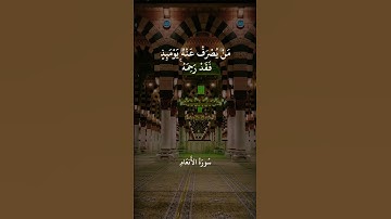 قُلْ إِنِّي أَخَافُ أَنْ عَصَيْت رَبِّي /الشيخ عبد الباسط عبد الصمد تلاوة مؤثرة حالات واتس اب قرآن 💚