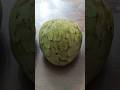 Cherimoya fruits 🍈 / Плоды черимойя 🍈 + #cherimoya #fruit #fruits
