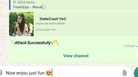 WhatsApp New Bug Bot | WhatsApp Dangerous Bug Bot | WhatsApp Virus | Crash Anyone