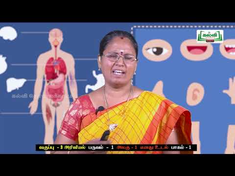 Class 3 | வகுப்பு 3 | அறிவியல் | எனது உடல் | அலகு 1 | பருவம் 1 | KalviTv