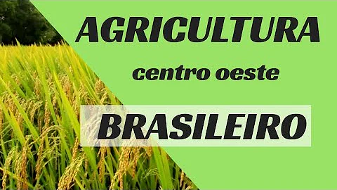 Quais são os principais produtos da agricultura do Centro-oeste?