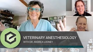 The PAWEDcast: Veterinary Anesthesiology