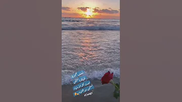 ليش توعـدني وترخينـي تصميمي ستوريات اكسبلور فولو 